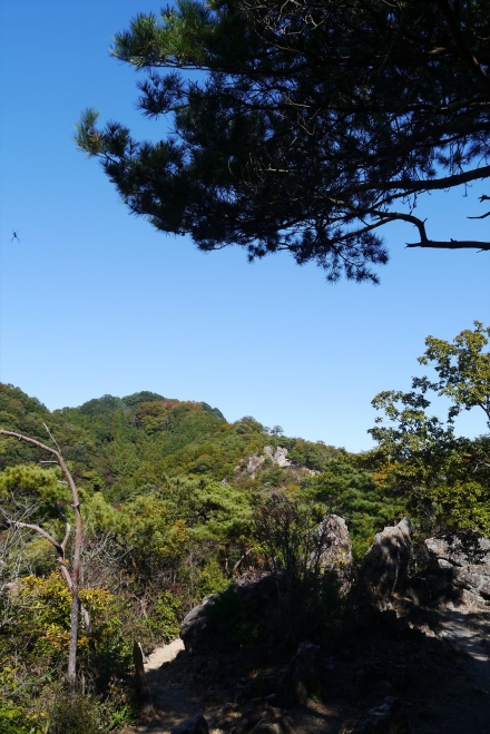 P1070358_R.jpg