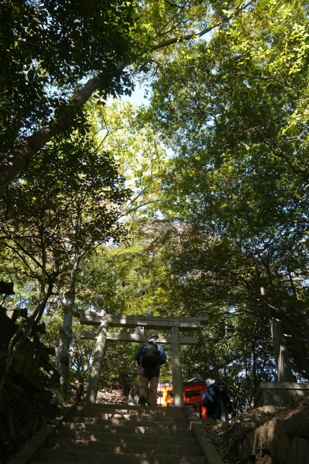P1070369_R.jpg