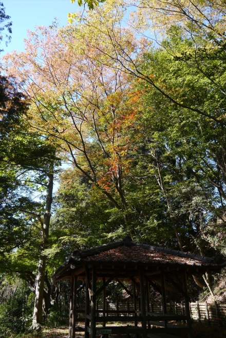 P1070370_R.jpg