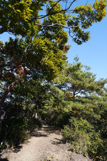 P1070371_R.jpg