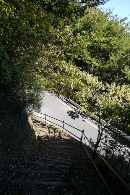 P1070378_R.jpg
