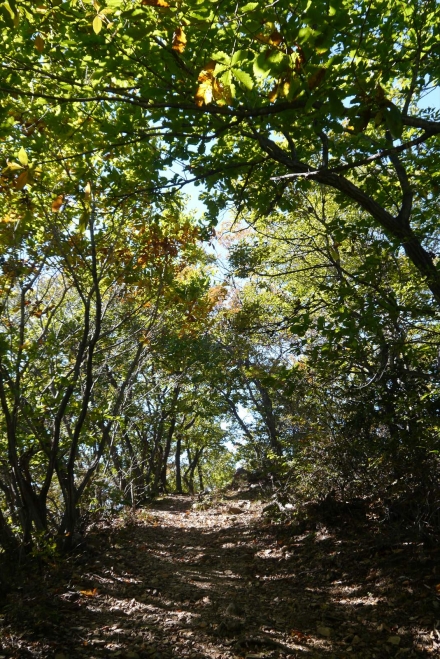 P1070380_R.jpg