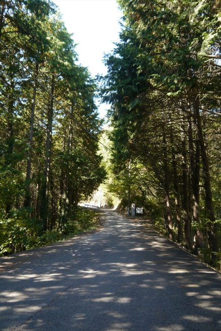 P1070381_R.jpg