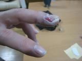 IMG_4277.jpg