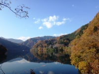 yanagisawa_20141124-04.jpg