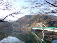 yanagisawa_20141124-05.jpg