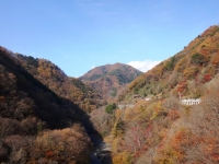 yanagisawa_20141124-07.jpg