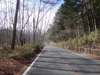 yanagisawa_20141124-08.jpg