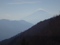 yanagisawa_20141124-10.jpg
