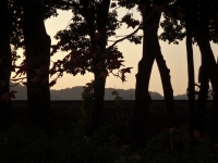 yanagisawa_20141124-16.jpg
