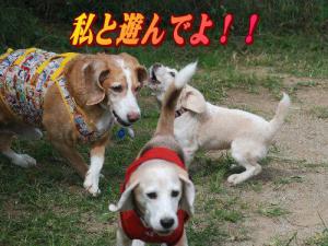 20121008094356a17.jpg