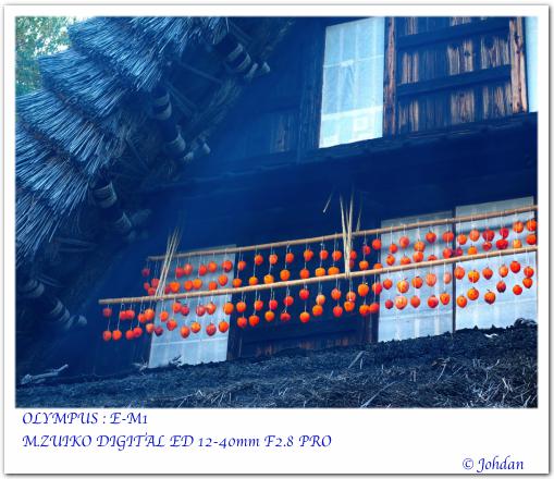 日本民家園2014-01