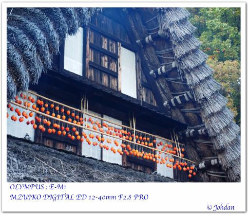 日本民家園2014-02