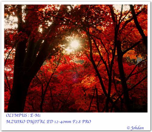 日本民家園2014-04