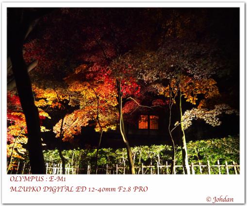 日本民家園2014-09