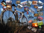 CIMG2263_2013123107583063b.jpg
