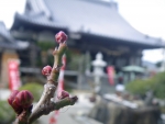 IMGP2261.jpg