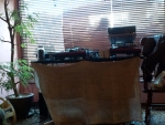 WP_002039.jpg