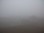 WP_002188.jpg