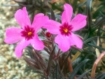 WP_002194.jpg