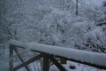 december05.jpg