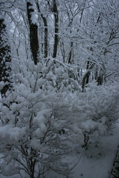 december06.jpg