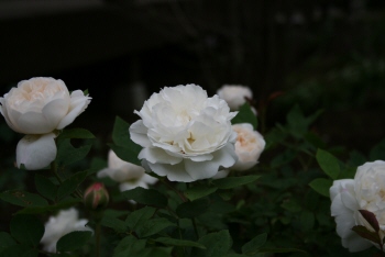 june07.jpg