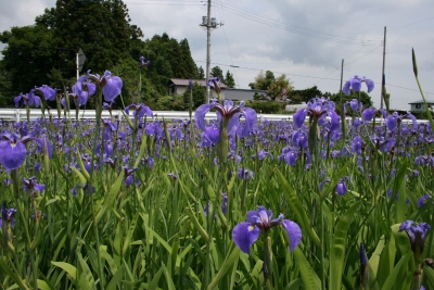 june14.jpg