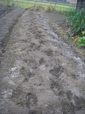 003_20141101055323348.jpg