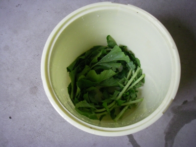 030_20141102044425377.jpg