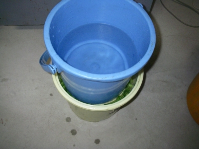 036_20141102044910aaf.jpg