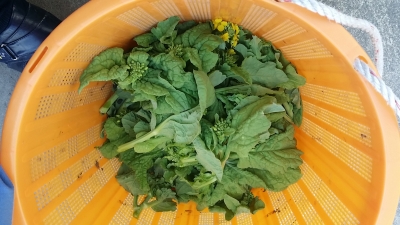 20141110_115234.jpg