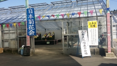 20141111_133545.jpg