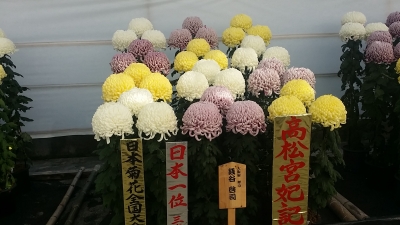 20141111_133908.jpg