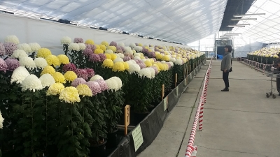 20141111_133923.jpg