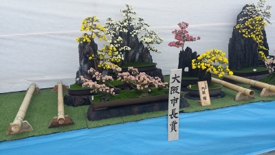 20141111_134835.jpg