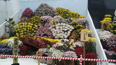 20141111_142016.jpg