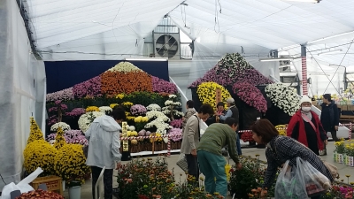 20141111_142052.jpg