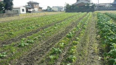 20141112_112642.jpg
