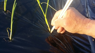 20141115_152207.jpg
