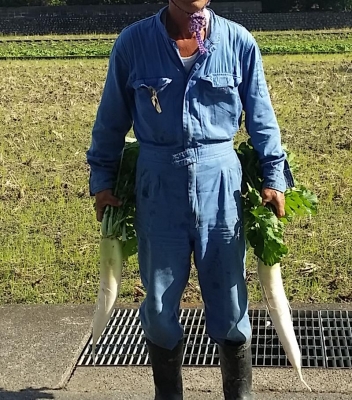 daikon.jpg
