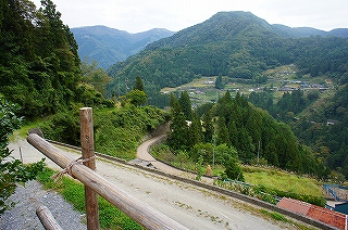 DSC04292.jpg