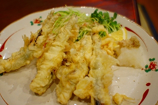 DSC04424.jpg