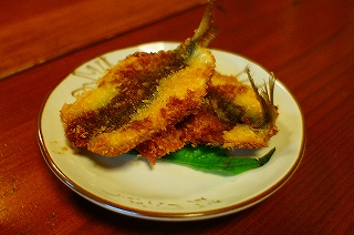 DSC04572.jpg
