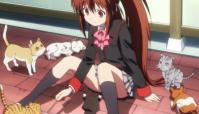 りん5