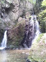 DSC_0117.jpg