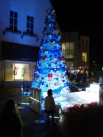 DSC_0171.jpg