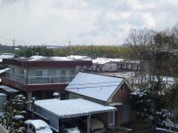 DSC_0173.jpg