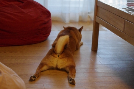 2011000.jpg