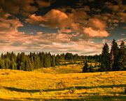 2012_0615_syakai.jpg